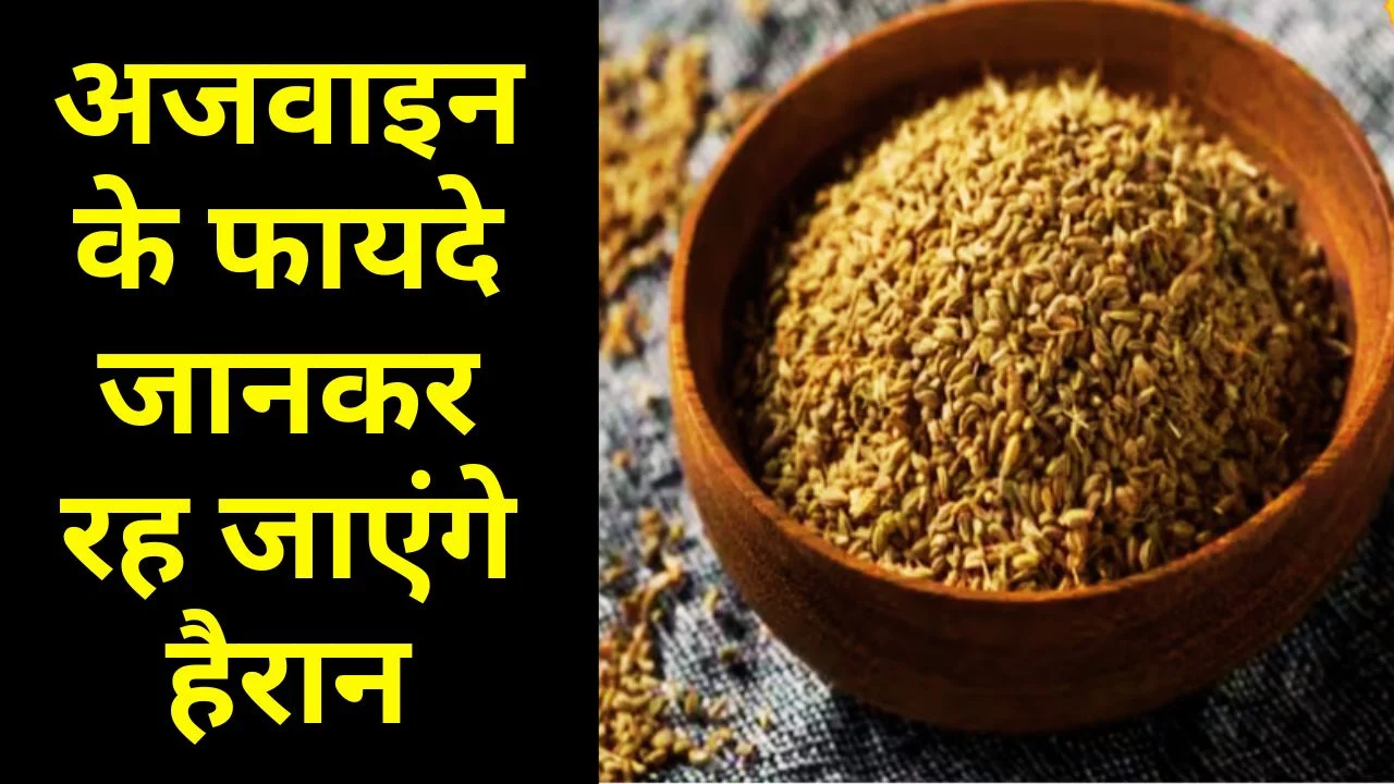 अजवाइन: रसोई का मसाला नहीं, सेहत का प्राकृतिक खजाना