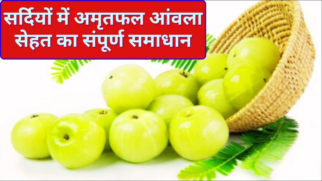 आंवला खाने के फायदे: इम्यूनिटी, वजन घटाने और दिल की सेहत का राज