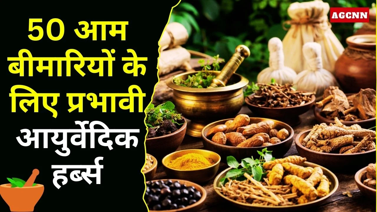 50 आम बीमारियों के लिए प्रभावी आयुर्वेदिक हर्ब्स, आधुनिक शोध भी करता है पुष्टि