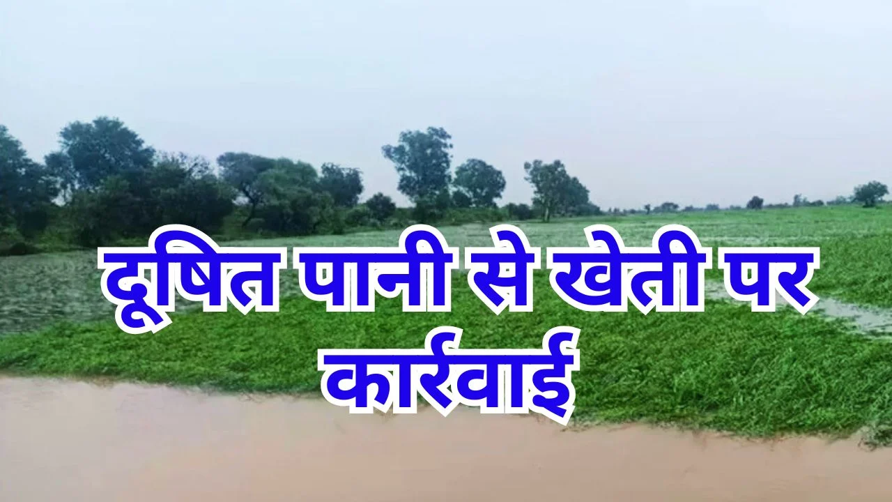 भोपाल में NGT नियमों की अनदेखी