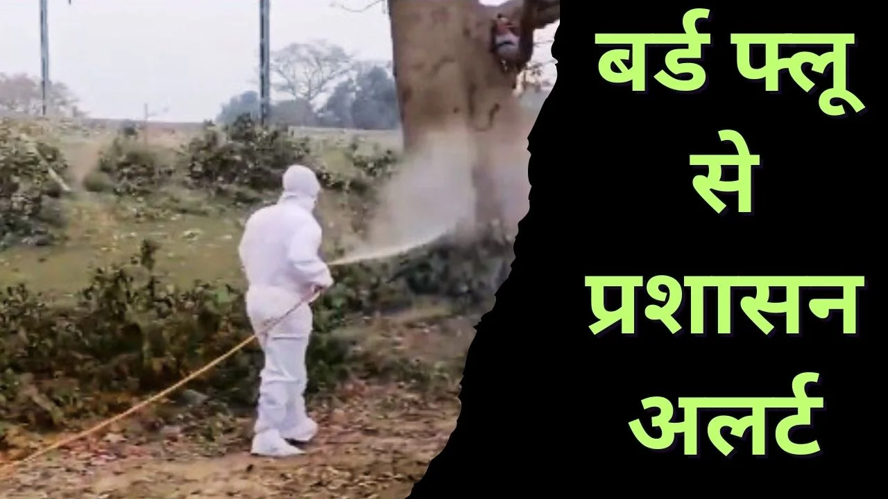 बिहार में बर्ड फ्लू की पुष्टि