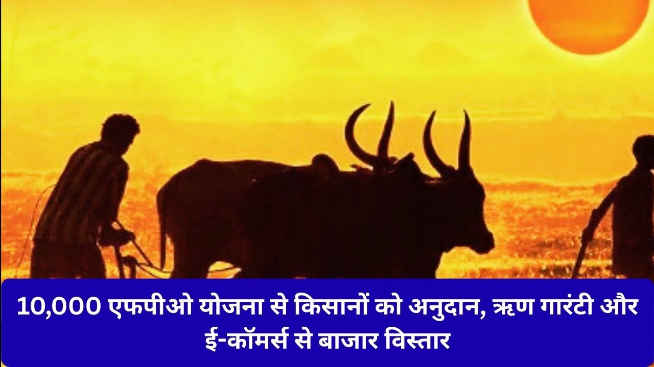 10,000  FPO योजना से किसानों की सामूहिक शक्ति मजबूत, अनुदान, क्रेडिट गारंटी और ई-कॉमर्स लिंक से बाजार विस्तार 