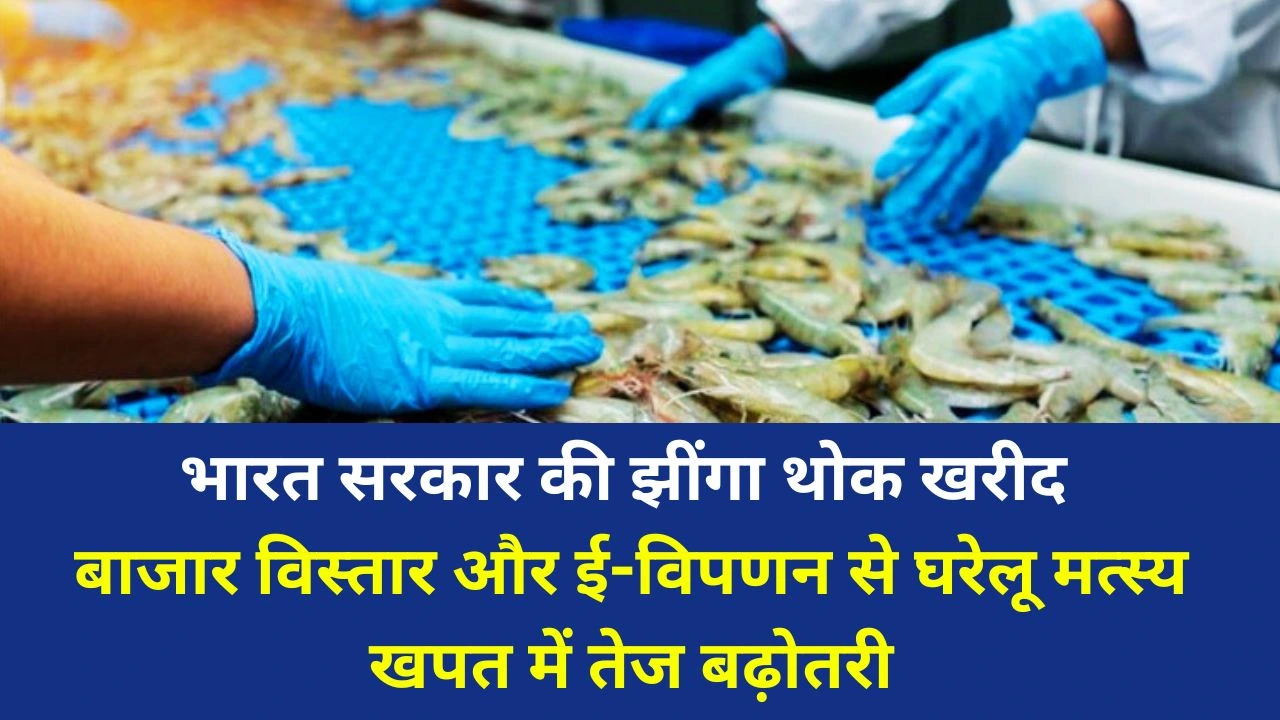 झींगा खरीद, NFDB बाजार विस्तार और ई-विपणन से घरेलू मत्स्य खपत बढ़ाने की दिशा में बड़ी पहल