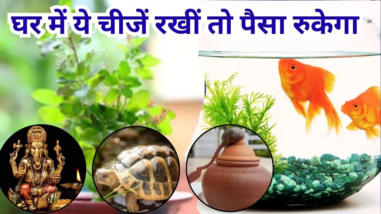 घर में रखें ये चीजें, बढ़ेगा धन और दूर होगी पैसों की कमी