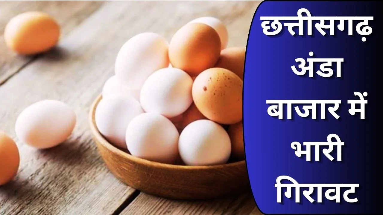 छत्तीसगढ़ में प्रतिदिन 80 लाख अंडों का उत्पादन