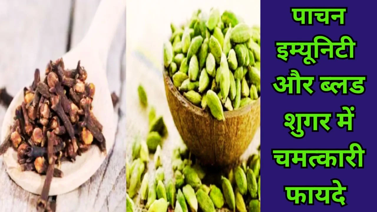 लौंग और इलायची के फायदे: पाचन, इम्यूनिटी, मेटाबॉलिज्म और ब्लड शुगर