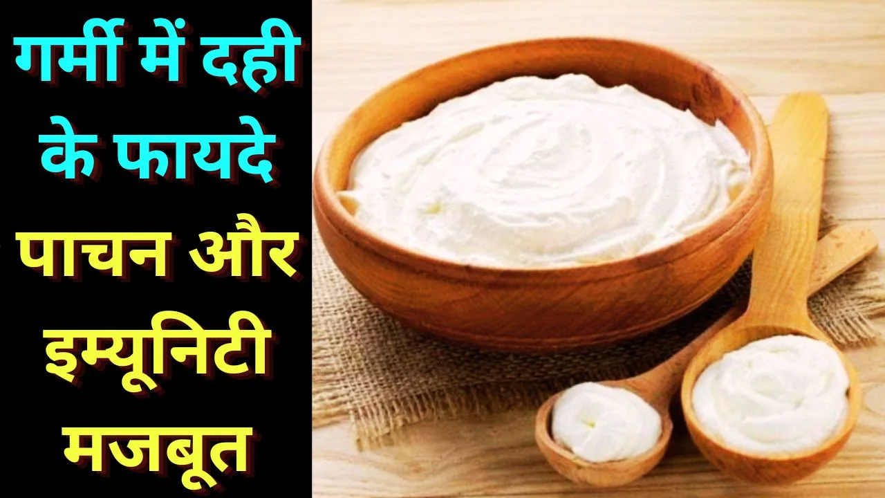 गर्मी में दही के फायदे, पाचन से लेकर इम्यूनिटी तक असरदार