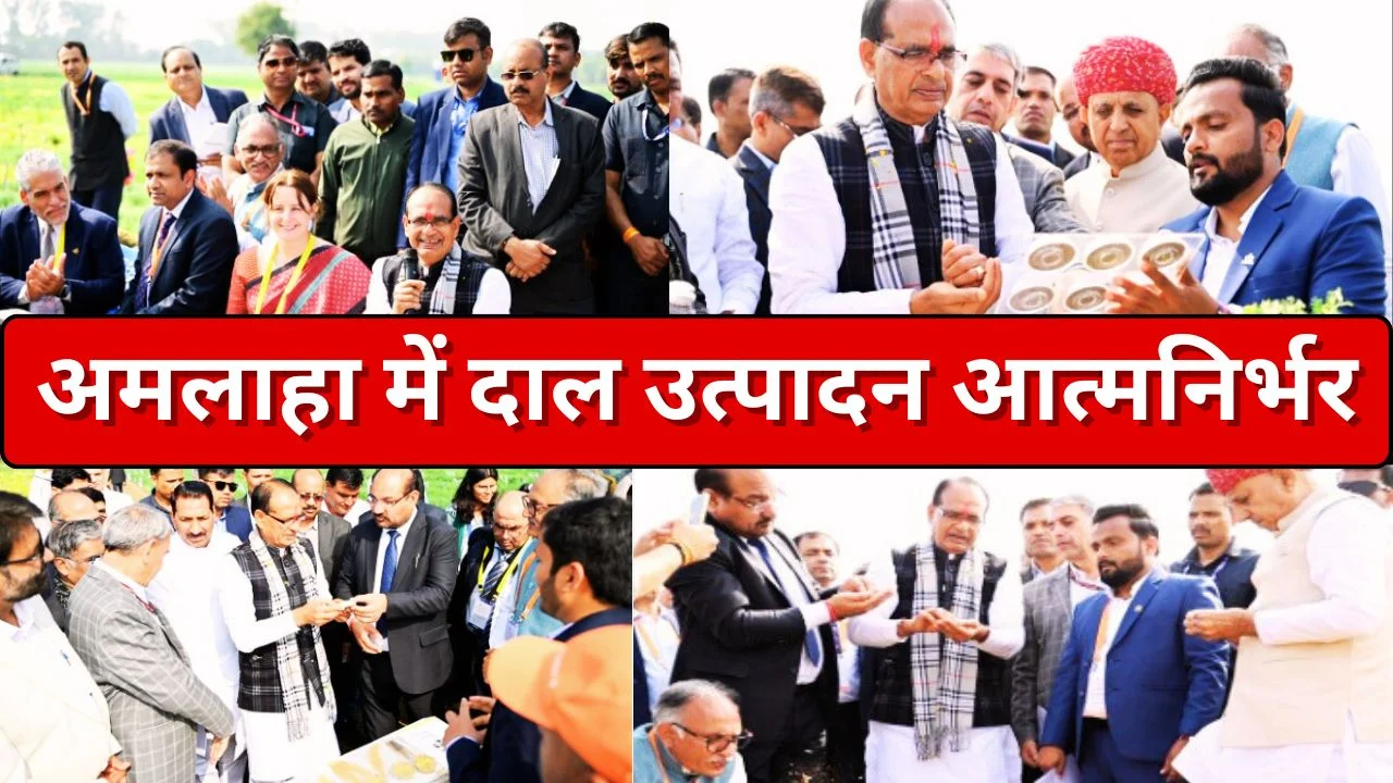 अमलाहा में दलहन आत्मनिर्भरता मिशन शुरू