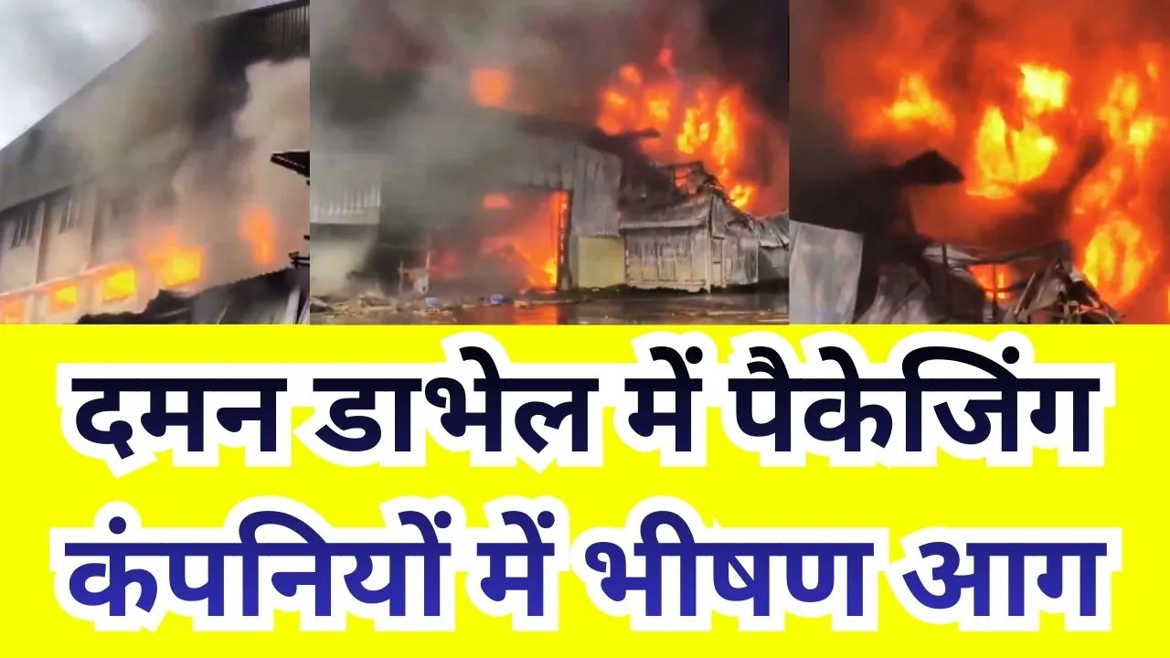 दमन डाभेल में पैकेजिंग कंपनियों में भीषण आग, दमकल कर्मियों ने काबू पाने में जुटी