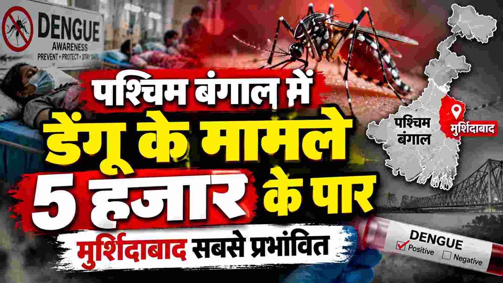 Dengue Cases West Bengal: पश्चिम बंगाल में डेंगू के मामले 5 हजार के पार, मुर्शिदाबाद सबसे प्रभावित