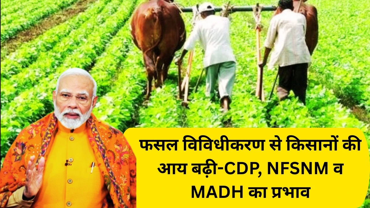 सरकार का बड़ा कदम: CDP, NFSNM और MIDH से फसल विविधीकरण और किसानों की आय में बढ़ोतरी