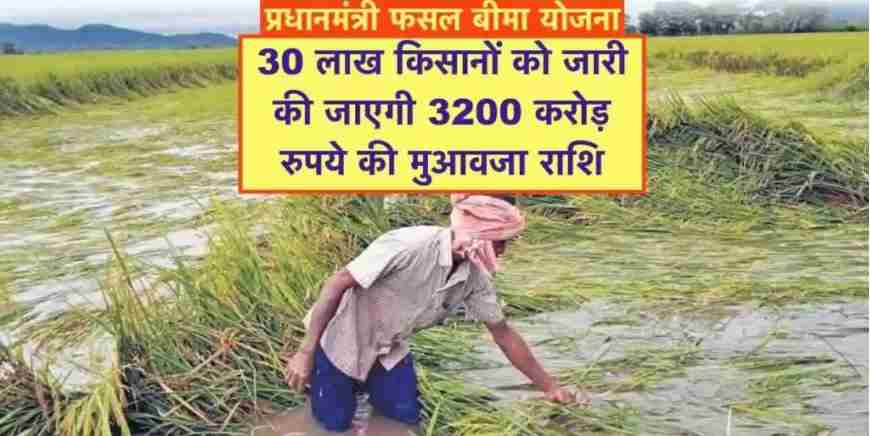 प्रधानमंत्री फसल बीमा योजना: 30 लाख किसानों को 3,200 करोड़ रुपये की सीधी सहायता 