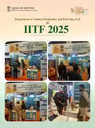 ट्रेड फेयर में चमका हुनर: छोटे कारोबारियों ने दिखाया आत्मनिर्भर भारत का रूप