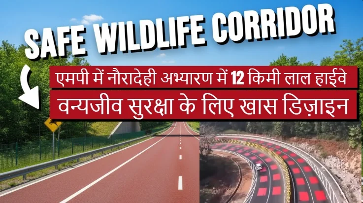 एमपी में नौरादेही अभ्यारण में 12 किमी लाल हाईवे, वन्यजीव सुरक्षा के लिए खास डिज़ाइन