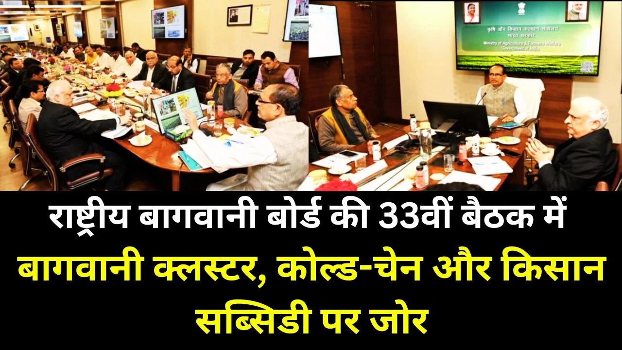 NHB बैठक में बागवानी क्लस्टर, कोल्ड-चेन और किसान-केंद्रित सब्सिडी क्रियान्वयन पर जोर