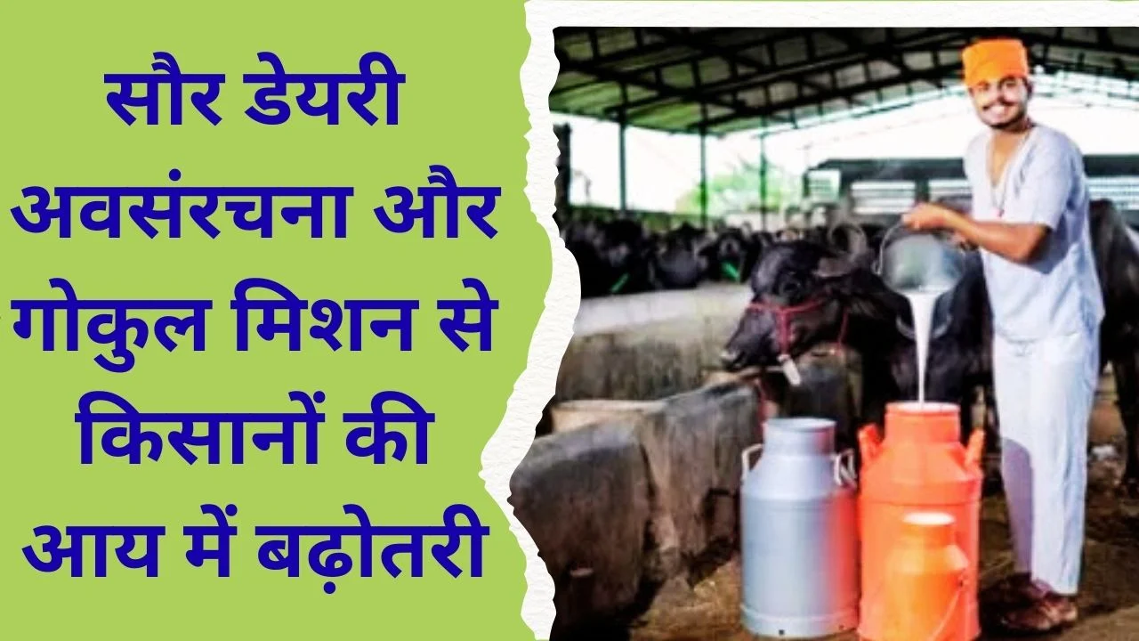भारत में डेयरी विकास को गति: सौर इकाइयों, NPDD और प्रजनन तकनीक से किसानों को बड़ा लाभ