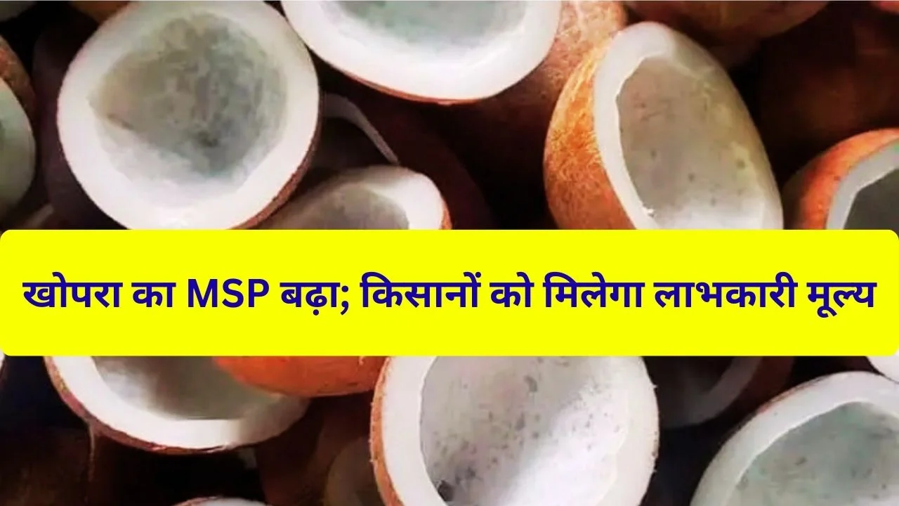2026 के लिए खोपरा MSP में बढ़ोतरी, किसानों की आय बढ़ाने और उत्पादन प्रोत्साहन पर सरकार का जोर