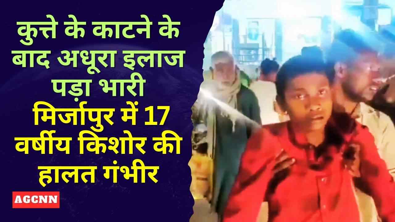 कुत्ते के काटने के बाद अधूरा इलाज पड़ा भारी, मिर्जापुर में 17 वर्षीय किशोर की हालत गंभीर