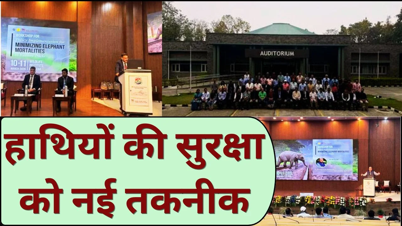 रेल पटरियों पर हाथियों की मौत रोकने को राष्ट्रीय रणनीति