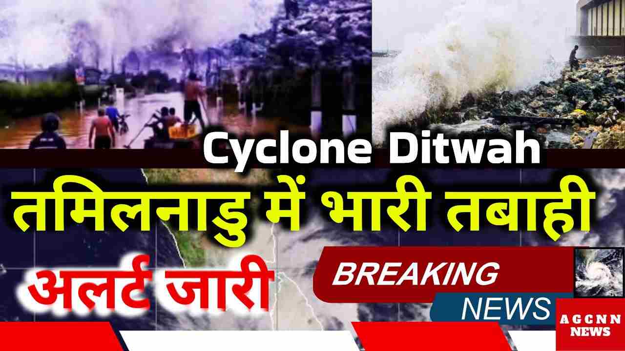 Cyclone Ditwah Alert: तमिलनाडु में तबाही, 3 की मौत, 149 मवेशी मरे, 57 हजार हेक्टेयर खेती बर्बाद