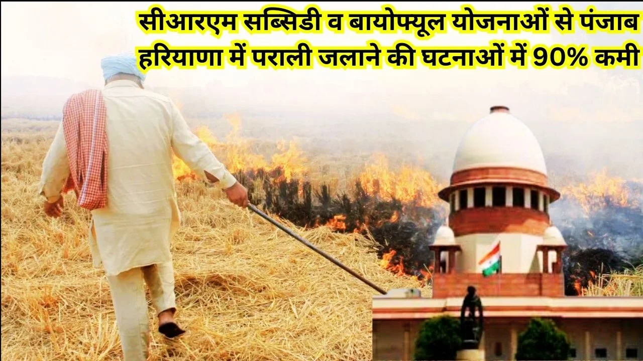 केंद्र की सीआरएम सब्सिडी व बायोफ्यूल योजनाओं से पराली जलाने में भारी कमी, किसानों को बड़ा लाभ
