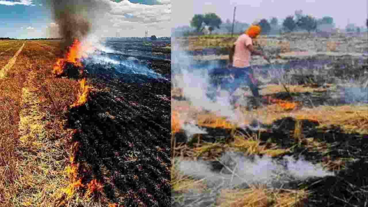 पराली जलाने पर किसानों को 30,000 रुपये तक जुर्माना, सुप्रीम कोर्ट के बाद केंद्र सरकार ने बरती सख्ती