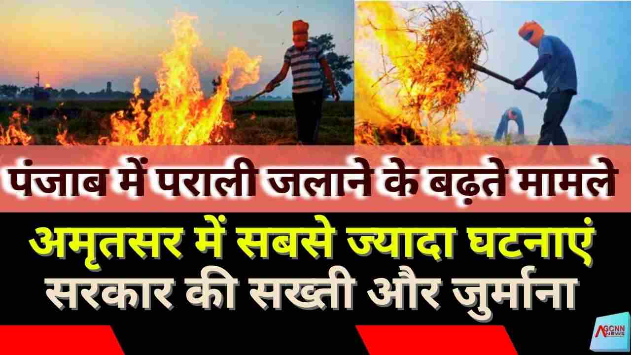 पंजाब में पराली जलाने के बढ़ते मामले, सरकार की सख्ती और जुर्माना