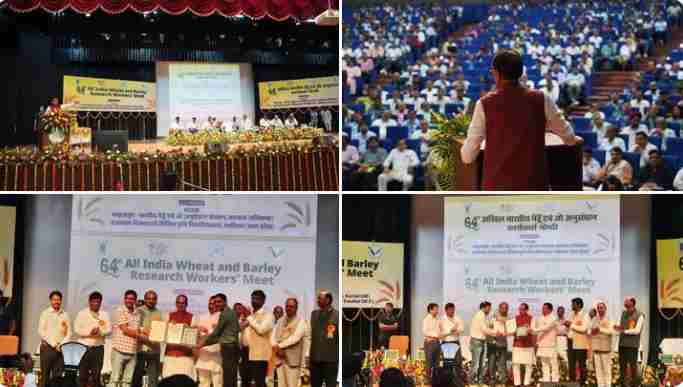 भारत गेहूं-चावल में आत्मनिर्भर, अब दलहन-तिलहन उत्पादन पर जोर : शिवराज सिंह चौहान
