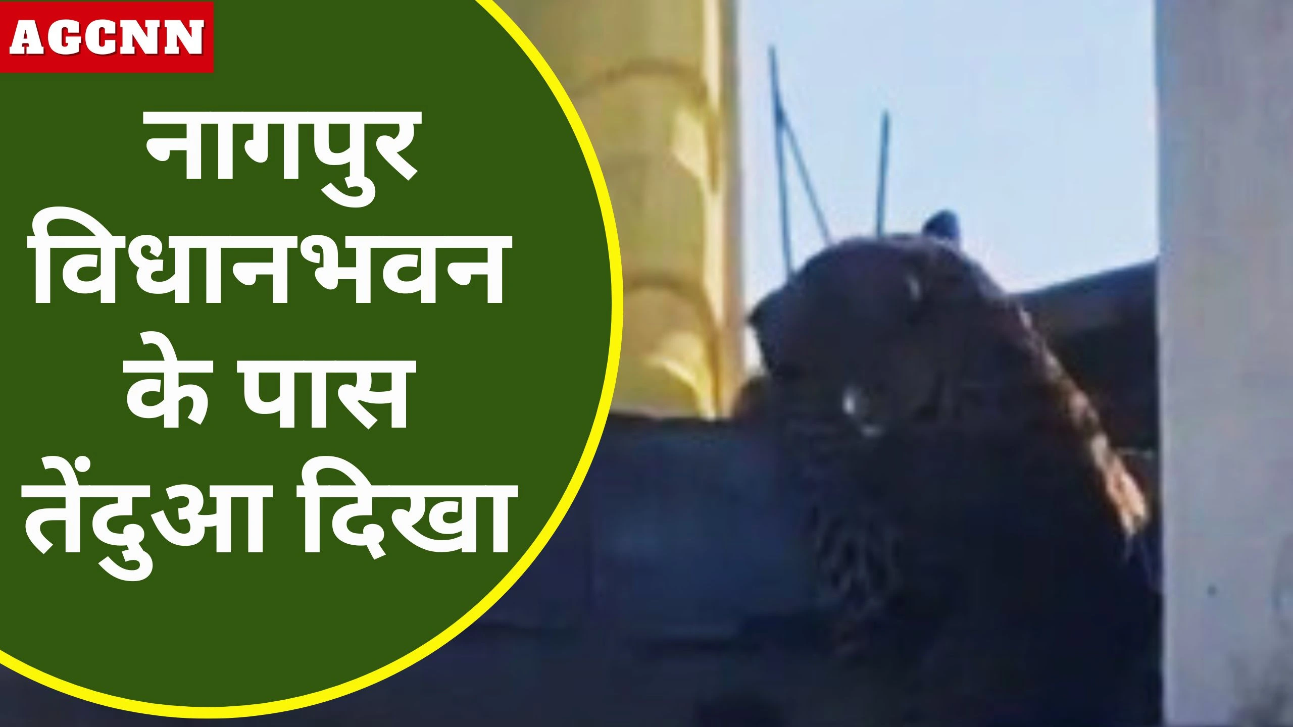 नागपुर विधानभवन के पास तेंदुआ दिखा, महाराष्ट्र में वन्यजीव घटनाएँ बढ़ीं