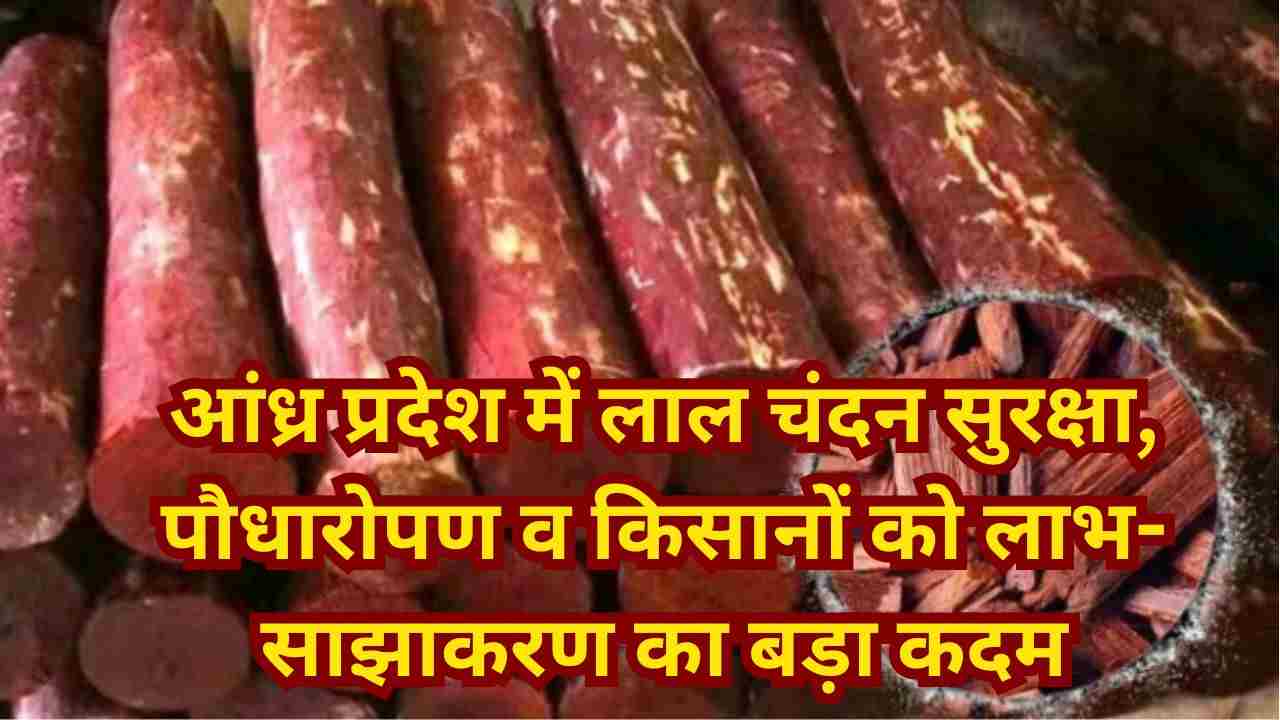 लाल चंदन संरक्षण के लिए एनबीए की ऐतिहासिक फंडिंग | ABS डिस्बर्समेंट 110 करोड़ पार