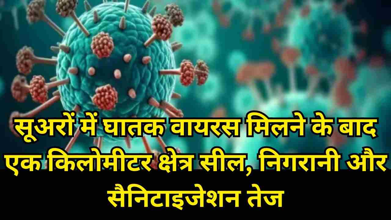 नासिक में अफ्रीकी स्वाइन फीवर की पुष्टि: कंटेनमेंट ज़ोन घोषित, प्रशासन हाई अलर्ट
