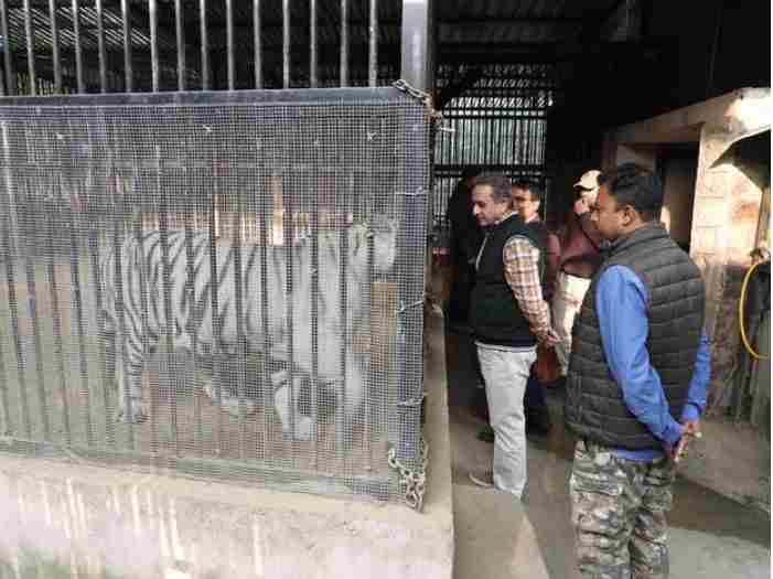 नई दिल्ली चिड़ियाघर में मंत्री का निरीक्षण: सफेद बाघ व शेर शावकों का नामकरण