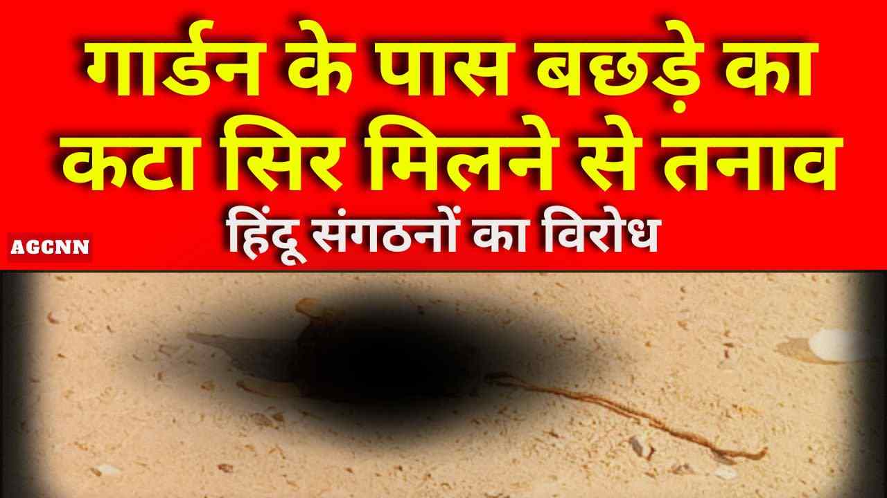 गार्डन के पास बछड़े का कटा सिर मिलने से तनाव, हिंदू संगठनों का विरोध | गोरखपुर