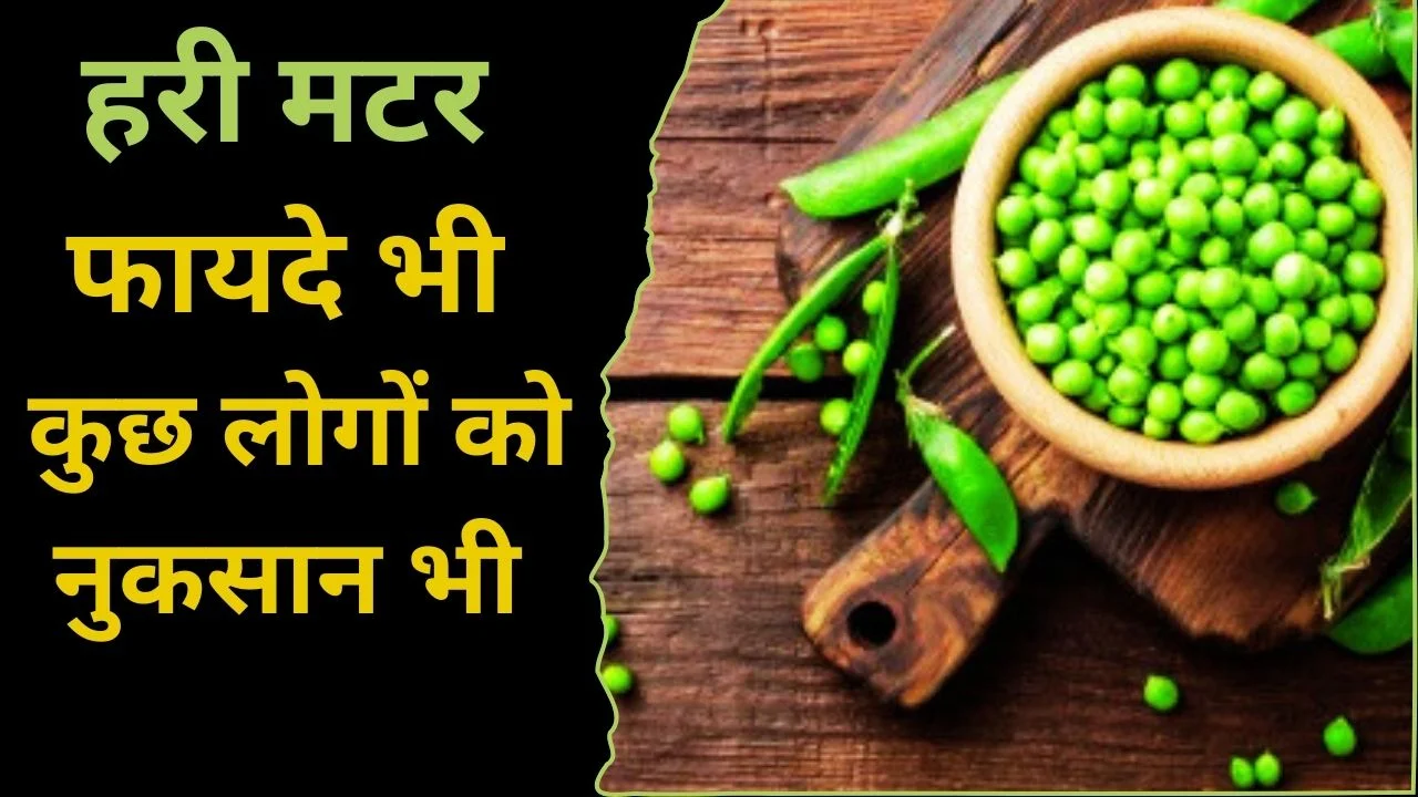 जानिए हरी मटर सेहत के लिए फायदेमंद या नुकसानदेह? 