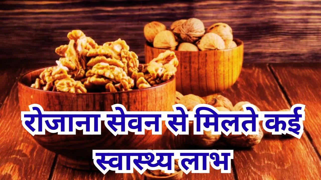 अखरोट खाने के फायदे: दिमाग, दिल और इम्युनिटी के लिए क्यों है फायदेमंद