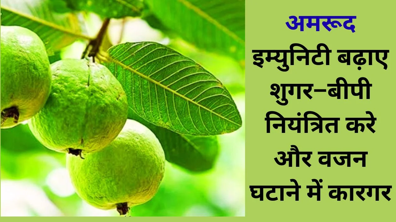 अमरूद के चमत्कारिक फायदे: इम्युनिटी बढ़ाए, डायबिटीज नियंत्रित करे, आंखों व पाचन को मजबूत बनाए