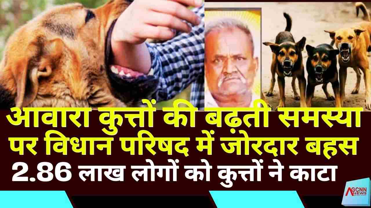 कर्नाटक में आवारा कुत्तों का खतरा और बढ़ते काटने के मामले