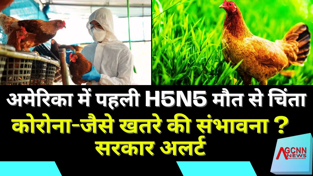 अमेरिका में पहली H5N5 मौत से चिंता, कोरोना-जैसे खतरे की संभावना ? सरकार अलर्ट 