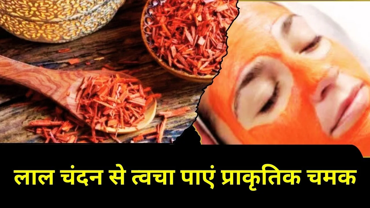 लाल चंदन से त्वचा निखारे, मुंहासे, काले घेरे और पिगमेंटेशन दूर करें