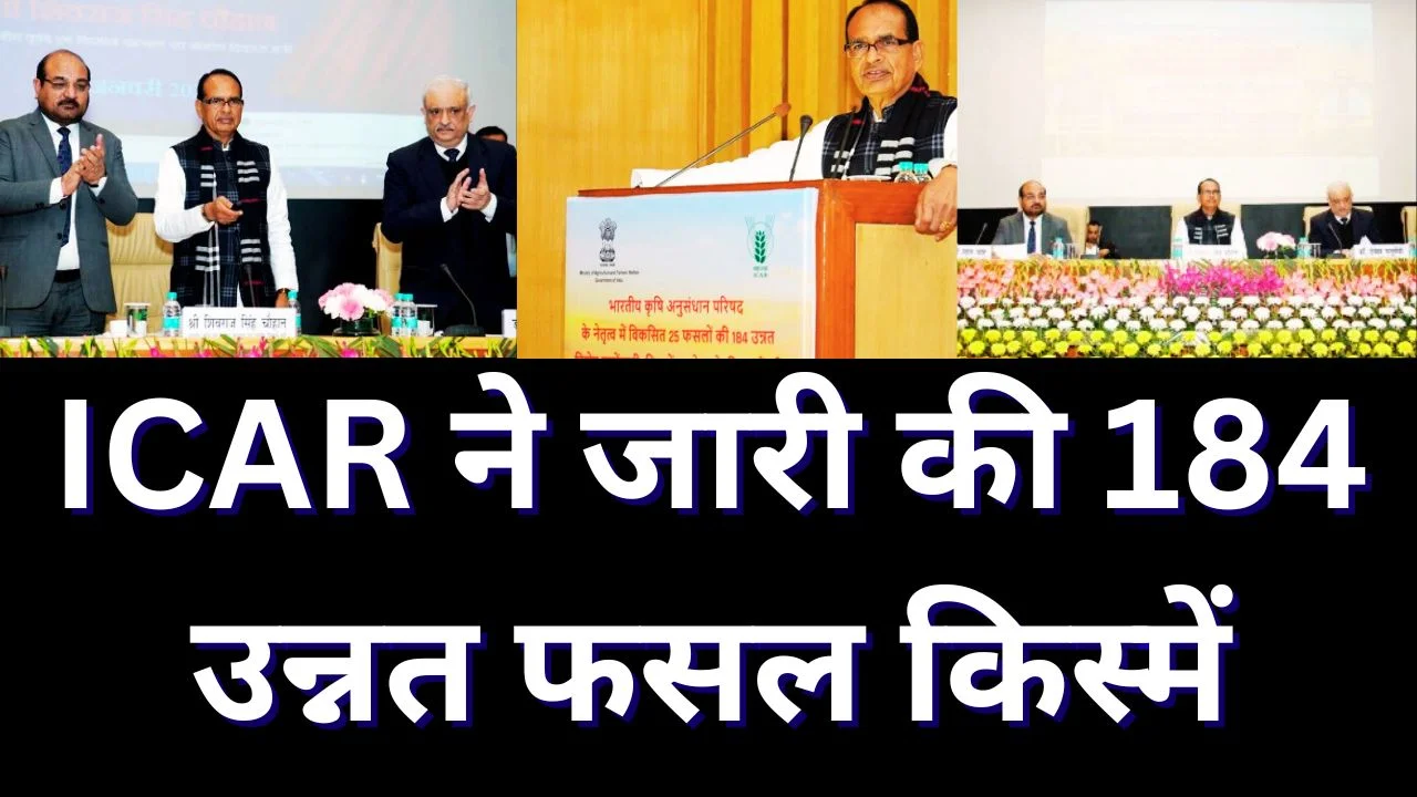 ICAR ने जारी की 184 उन्नत फसल किस्में, कृषि में नई क्रांति का आगाज़