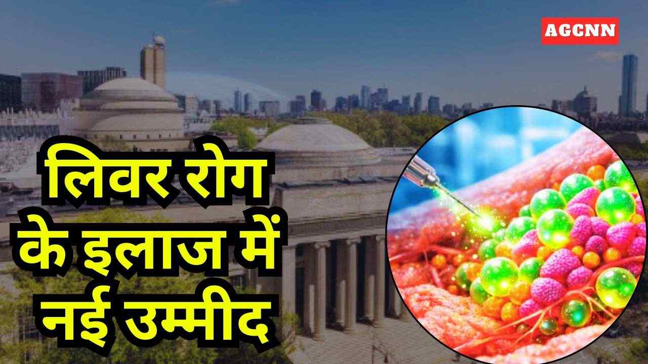 लिवर रोग के इलाज में नई उम्मीद: वैज्ञानिकों ने विकसित किया इंजेक्टेबल “सैटेलाइट लिवर”