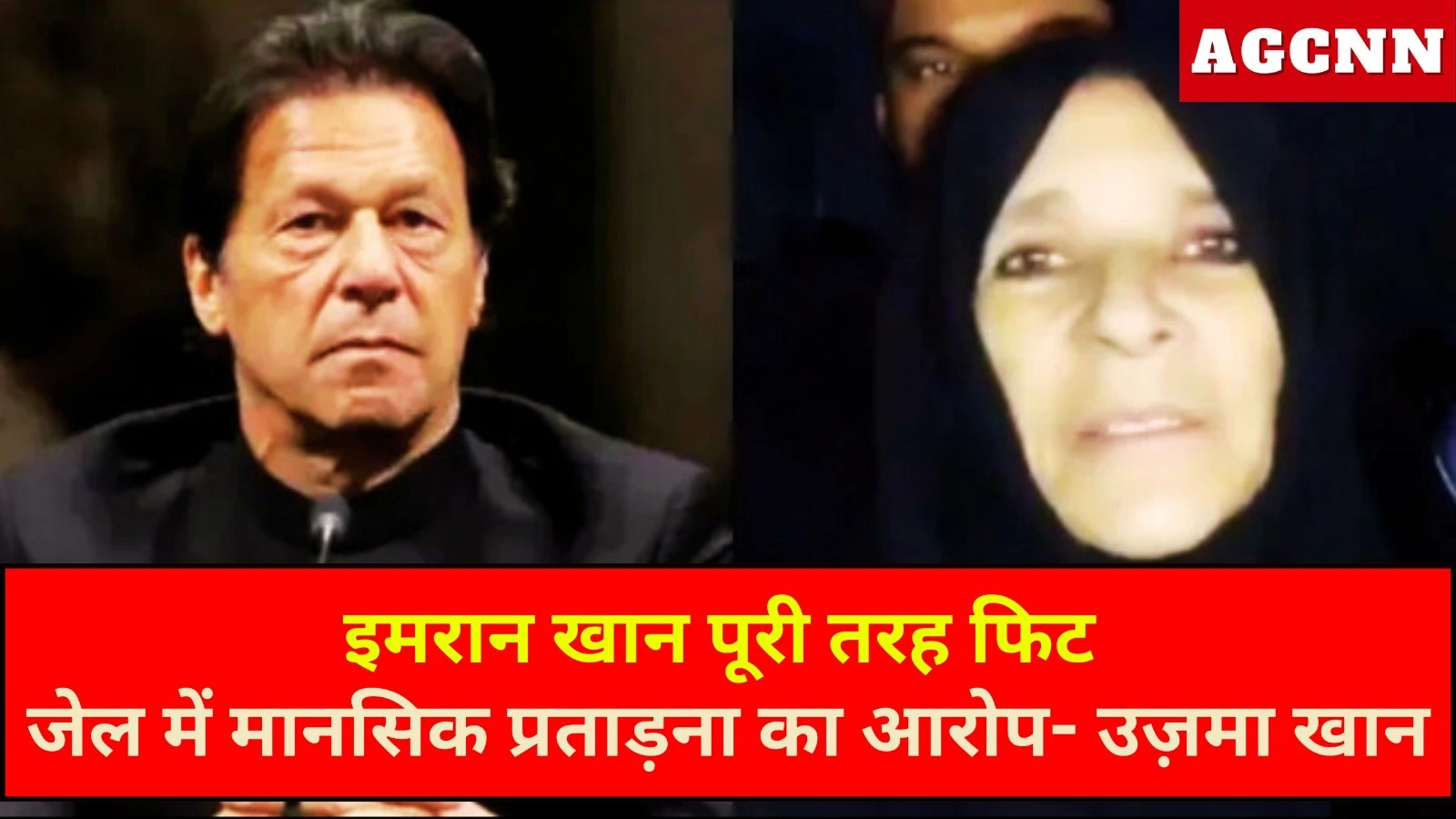 इमरान खान पूरी तरह फिट, जेल में मानसिक प्रताड़ना का आरोप- उज़मा खान