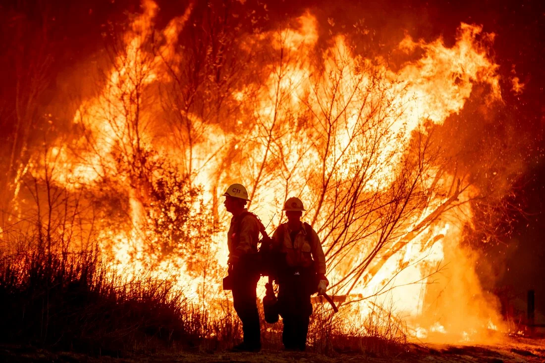 Los Angeles Wildfire: डेल्टा स्मेल्ट मछली और DEI को ठहराया गया आग का जिम्मेदार