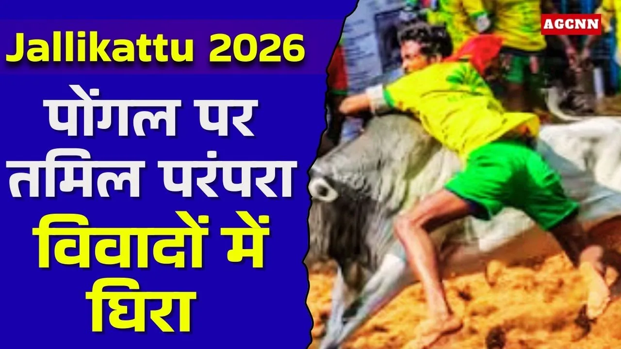 Jallikattu 2026: पोंगल पर तमिल परंपरा, संस्कृति और कानून के बीच संतुलन की मिसाल