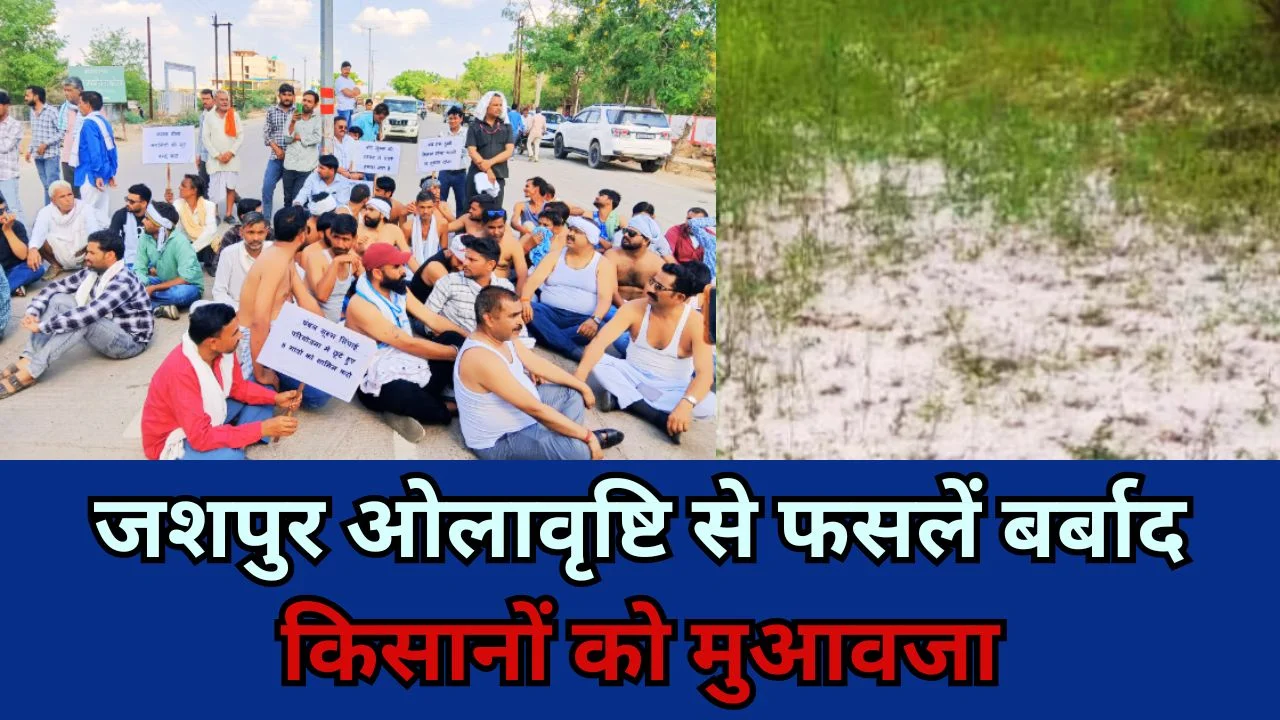जशपुर में ओलावृष्टि और बारिश से फसलें बर्बाद, किसानों ने मुआवजे की मांग की