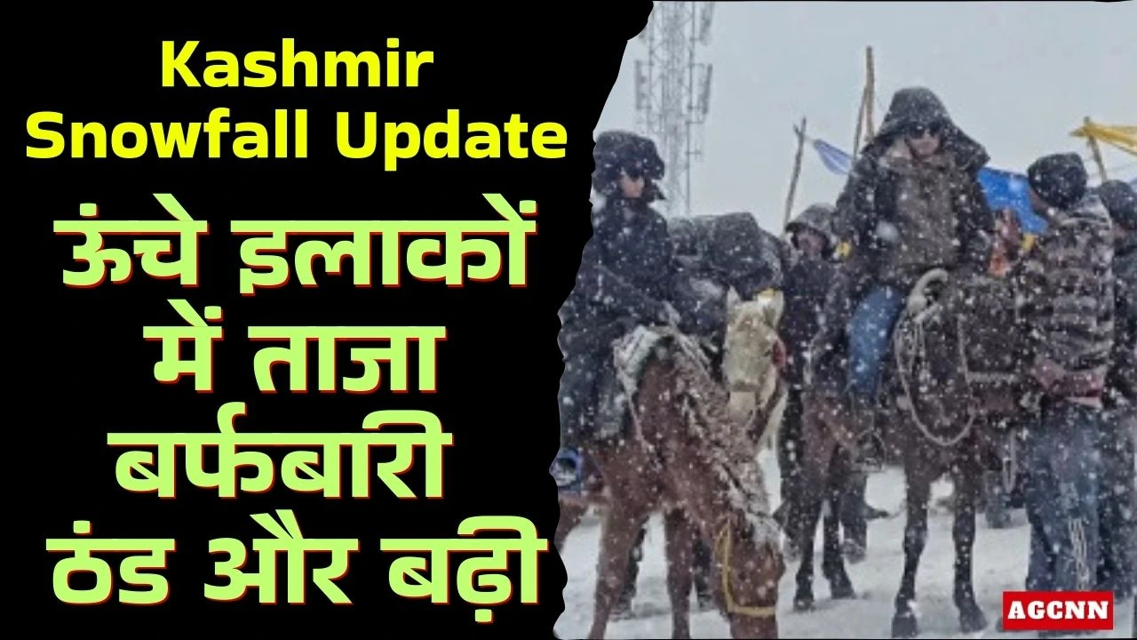 Kashmir Snowfall Update: ऊंचे इलाकों में ताजा बर्फबारी, ठंड और बढ़ी, जोजिला-साधना दर्रे प्रभावित