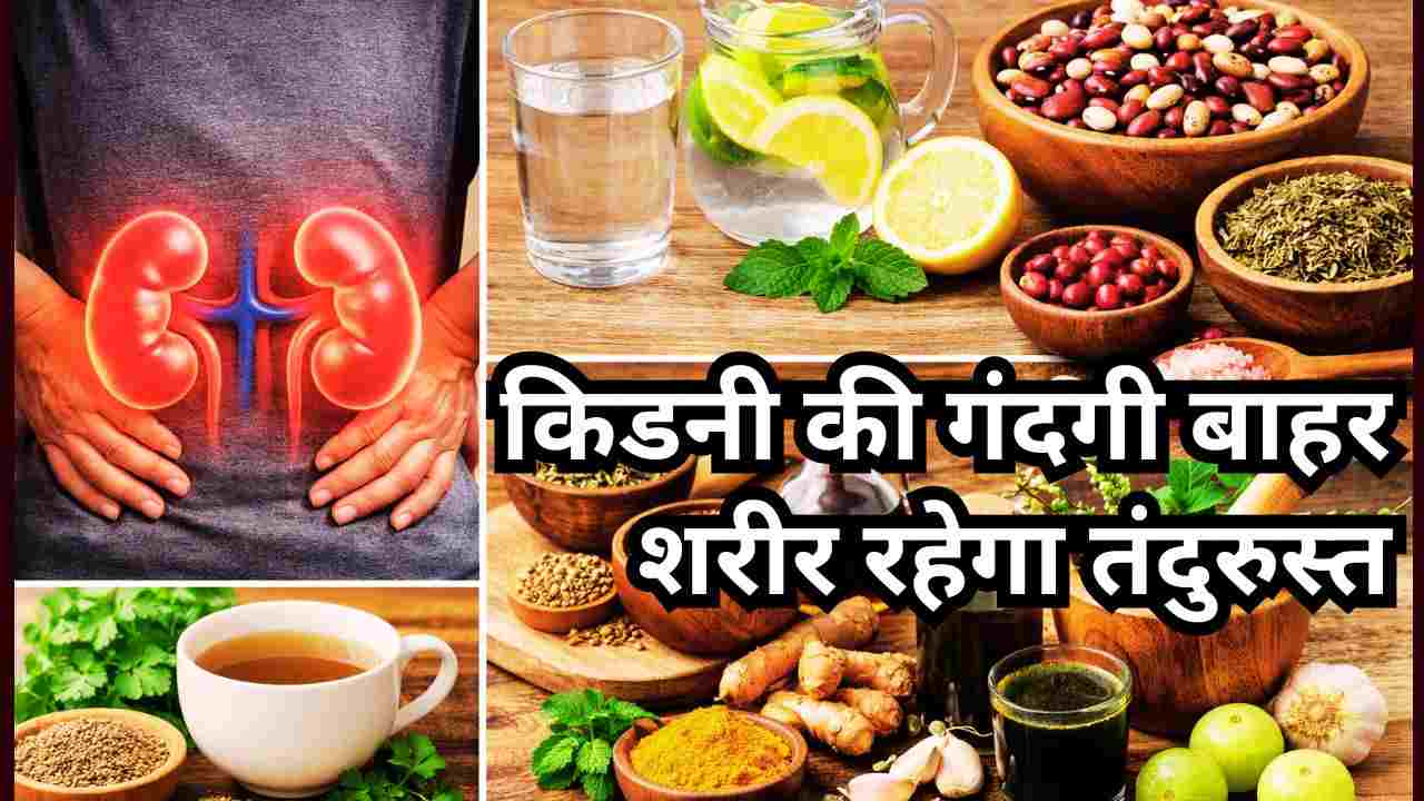 किडनी की गंदगी बाहर, शरीर रहेगा तंदुरुस्त: घरेलू उपायों से किडनी सेहत पर बढ़ता भरोसा