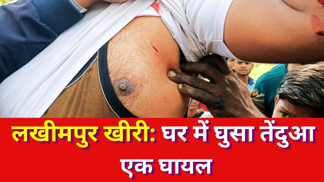 लखीमपुर खीरी में घर में घुसा तेंदुआ, हमले में एक घायल