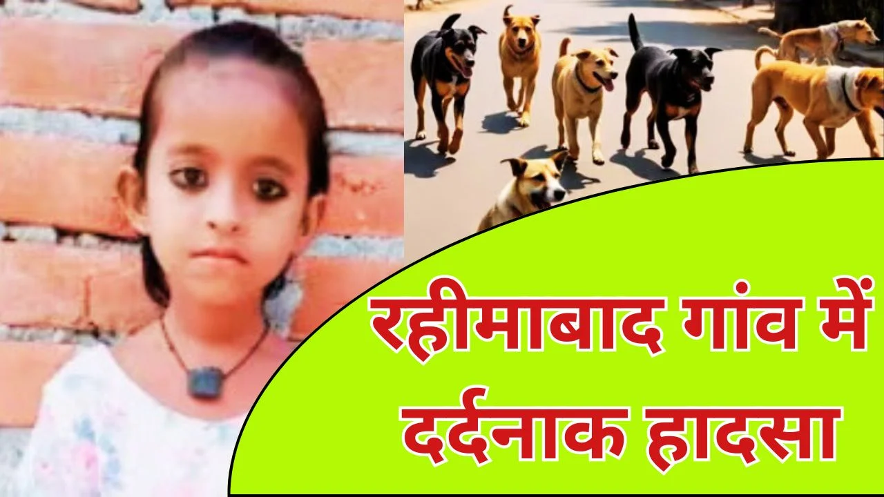 लखनऊ में कुत्तों के हमले से 7 साल की बच्ची की मौत