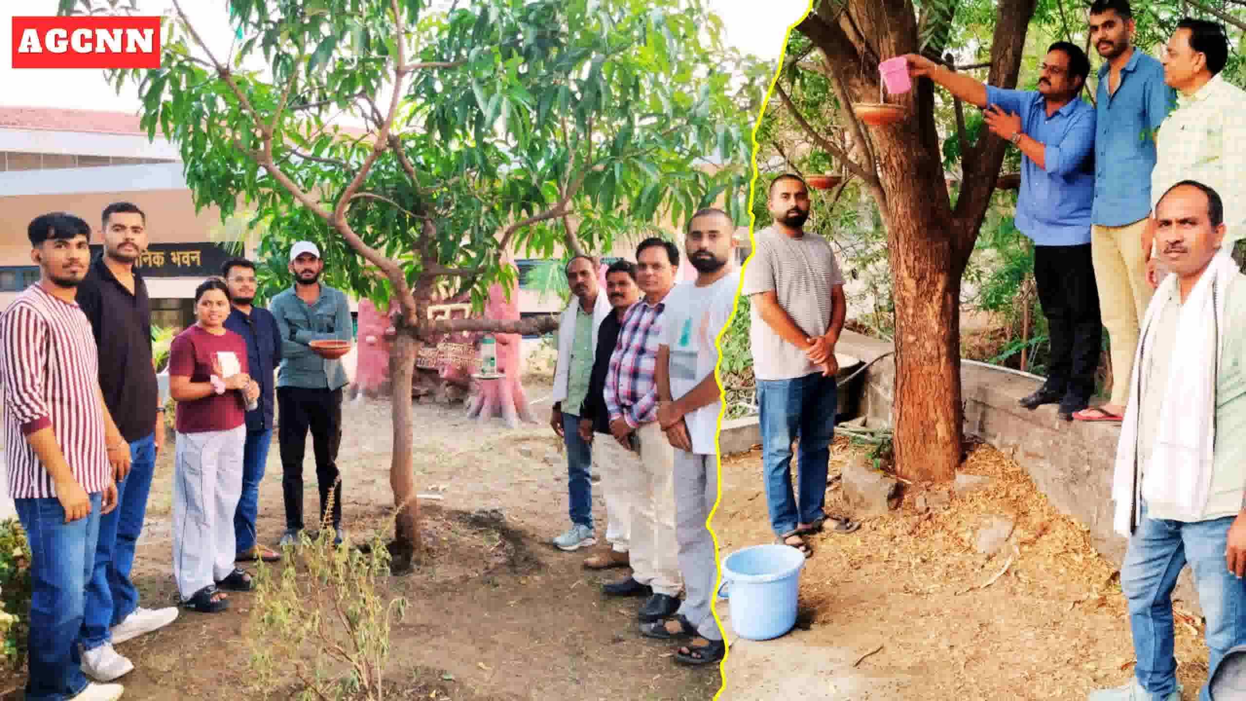 पृथ्वी दिवस पर हिंदी विश्वविद्यालय में पक्षियों के लिए चारा-पानी अभियान शुरू